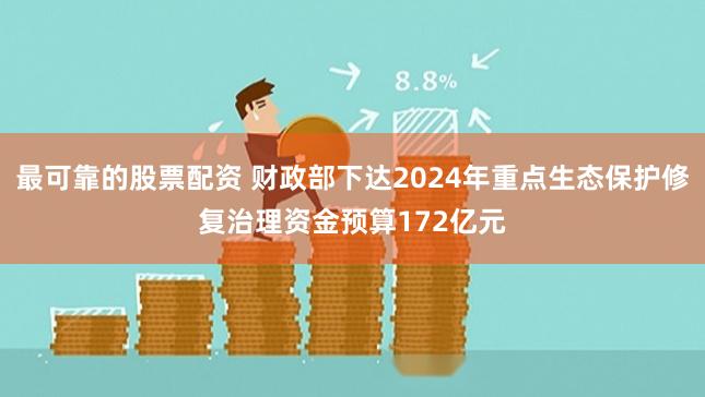 最可靠的股票配资 财政部下达2024年重点生态保护修复治理资金预算172亿元
